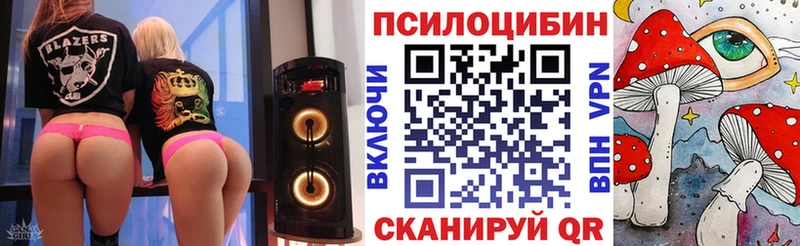 Псилоцибиновые грибы прущие грибы дарк нет состав Саяногорск